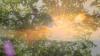 July, 2012 Retreat at the European Danda: Update